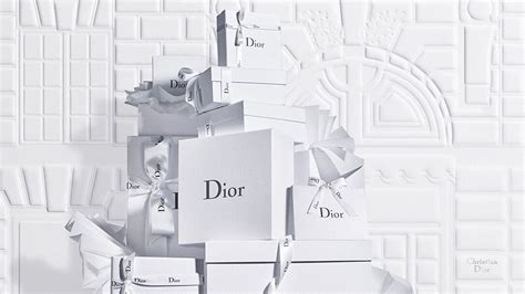 dior products online|Dior usa shop online.